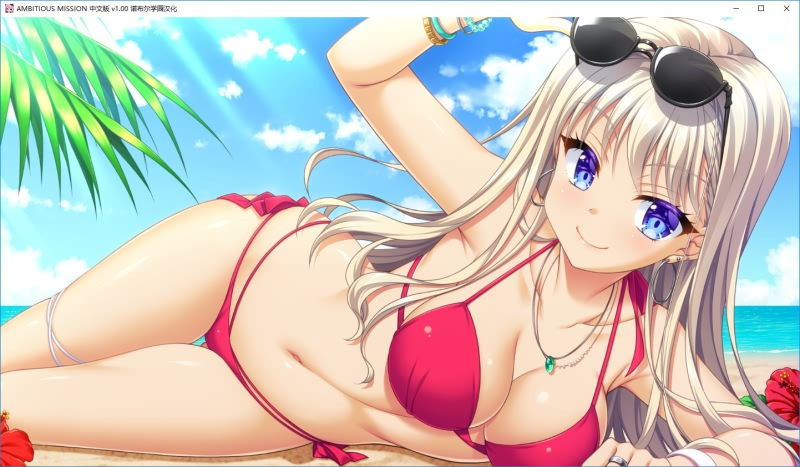 图片[13]-AMBITIOUS MISSION 汉化硬盘版-皑雪