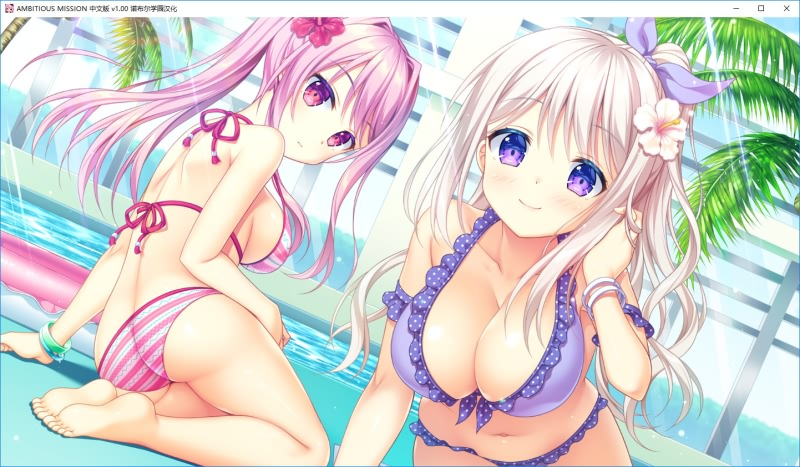 图片[14]-AMBITIOUS MISSION 汉化硬盘版-皑雪